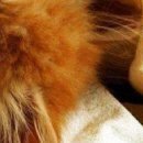 №85, Виталина Мач, Харьков №85, Виталина Мач, Харьков