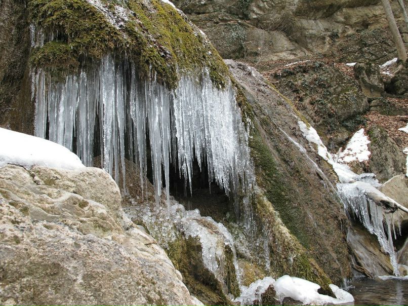 Игорь Баженов | 