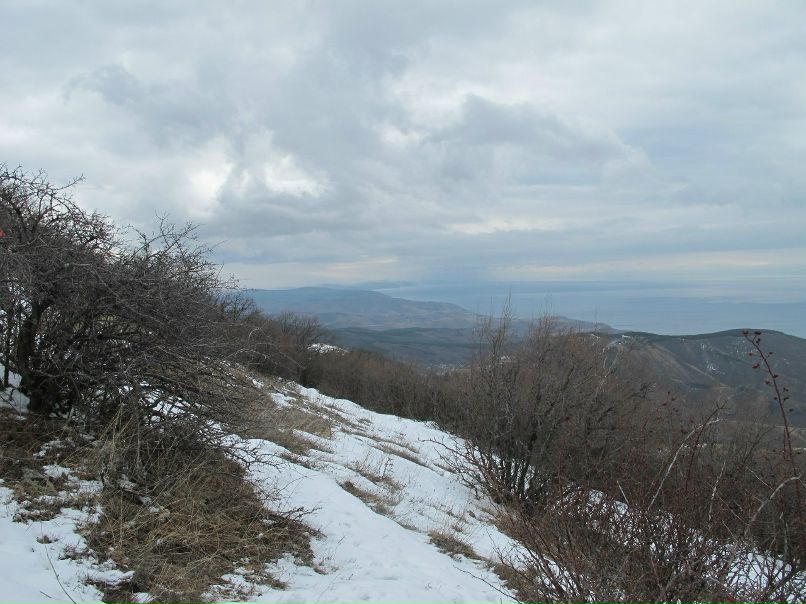 Игорь Баженов | 