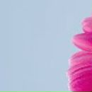 Ангелина Рослова ♥Greeneyes_Angel♥ | Москва