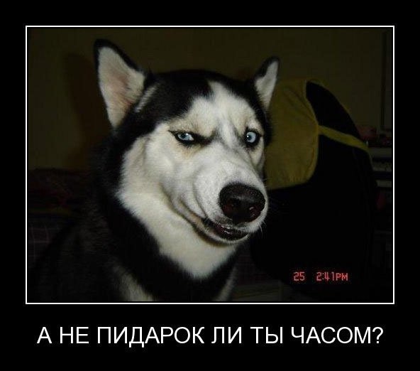 №26, Вадим Трубкин, 43 года, Кишинев №26, Вадим Трубкин, 43 года, Кишинев