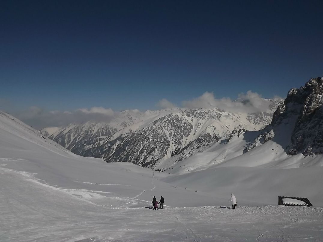Андрей Гулак | Санкт-Петербург