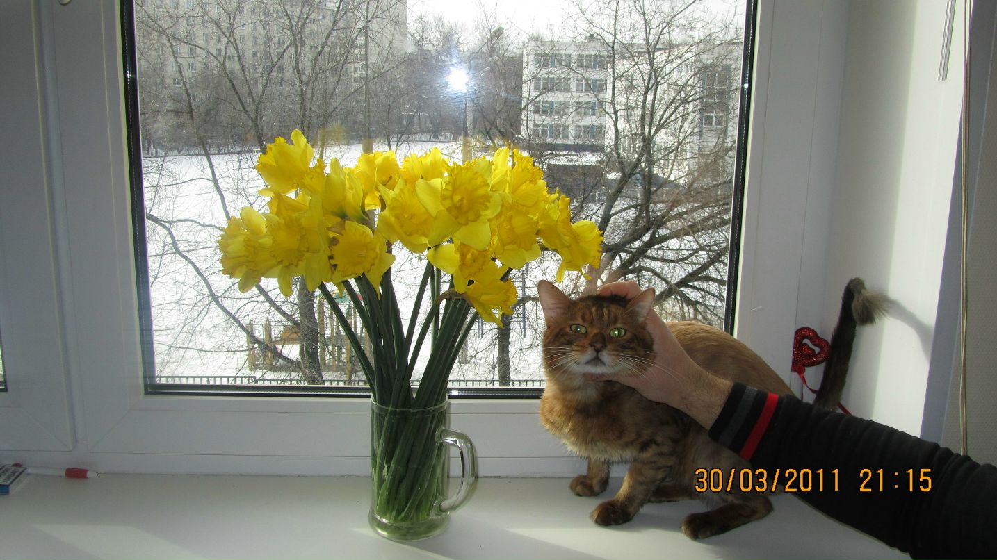 Славяна Шах | Bangkok