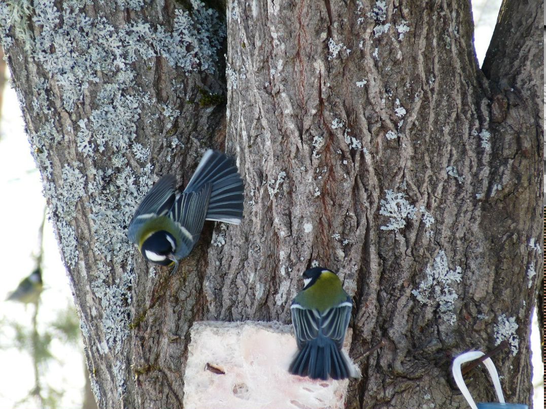 Юлия Михайлова | Санкт-Петербург