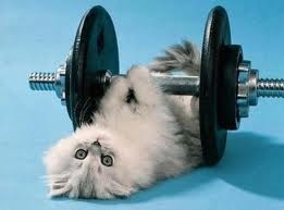 №39, Андрей Перескоков, Пермь №39, Андрей Перескоков, Пермь