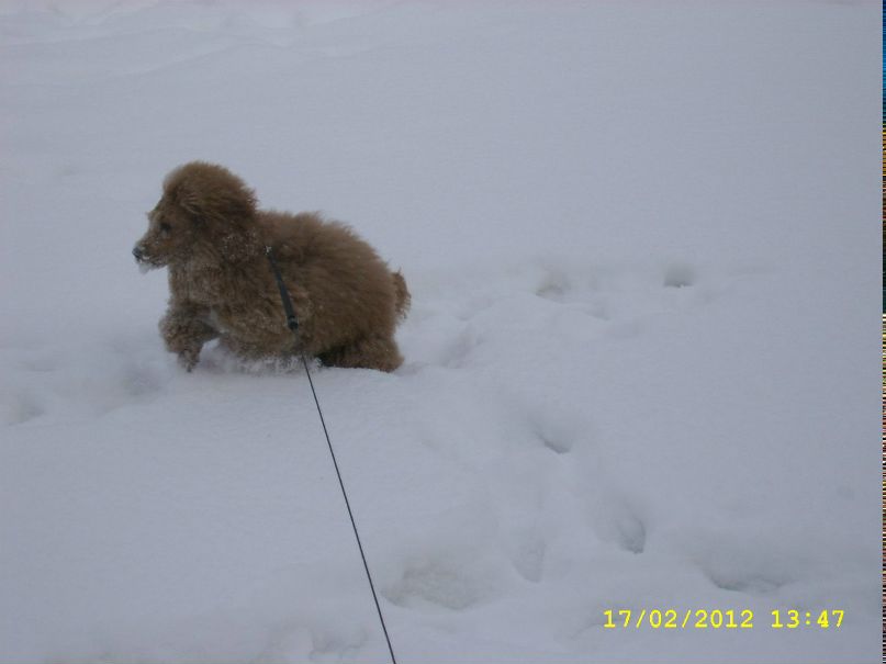 Любовь Полякова | Савинский