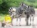Жовтий M&m's фотография #27