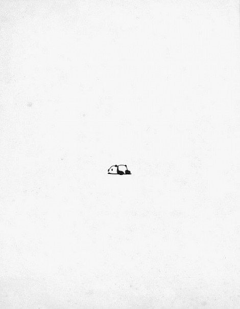 Мария Соколова | Санкт-Петербург