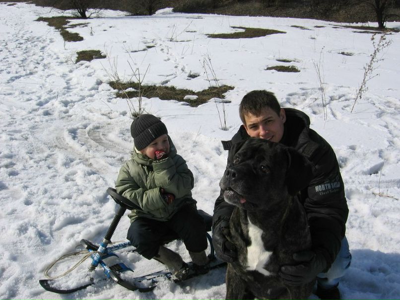 Андрей Дёшин Медведь™ | 