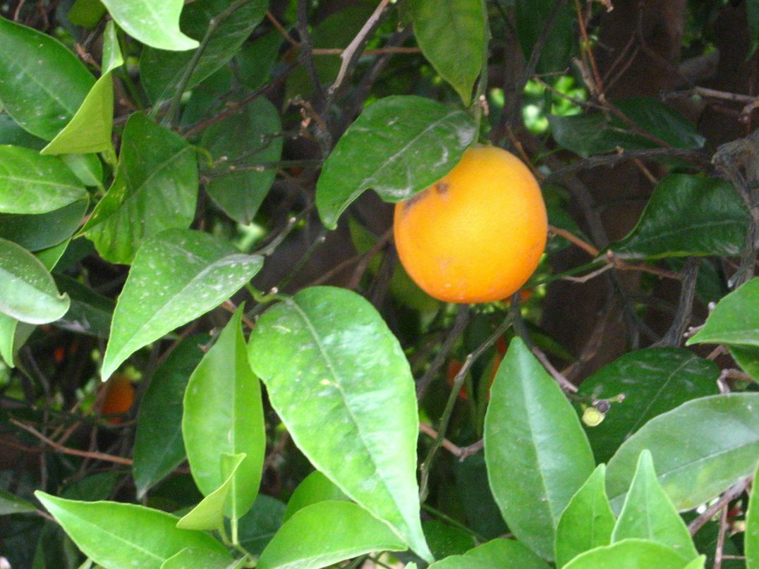 Оксана Буряк | Москва