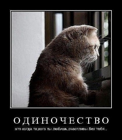 №84, Oll Streltsov, Одесса №84, Oll Streltsov, Одесса