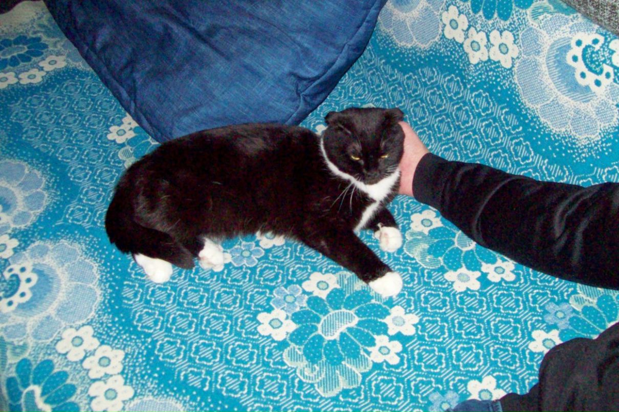 Самуил Шурухт | Санкт-Петербург