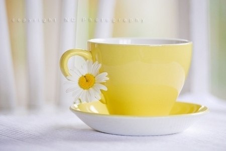 Олександра Алісова •°ღ•✿•ღ°• | 