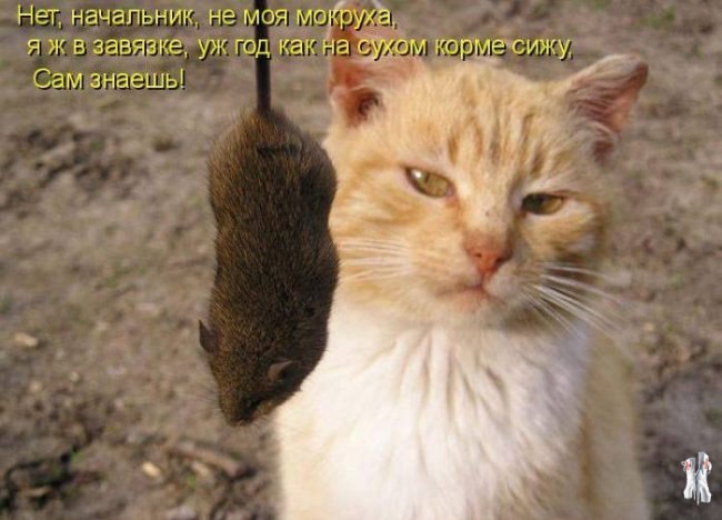 Алексей Шляхтин | Иркутск