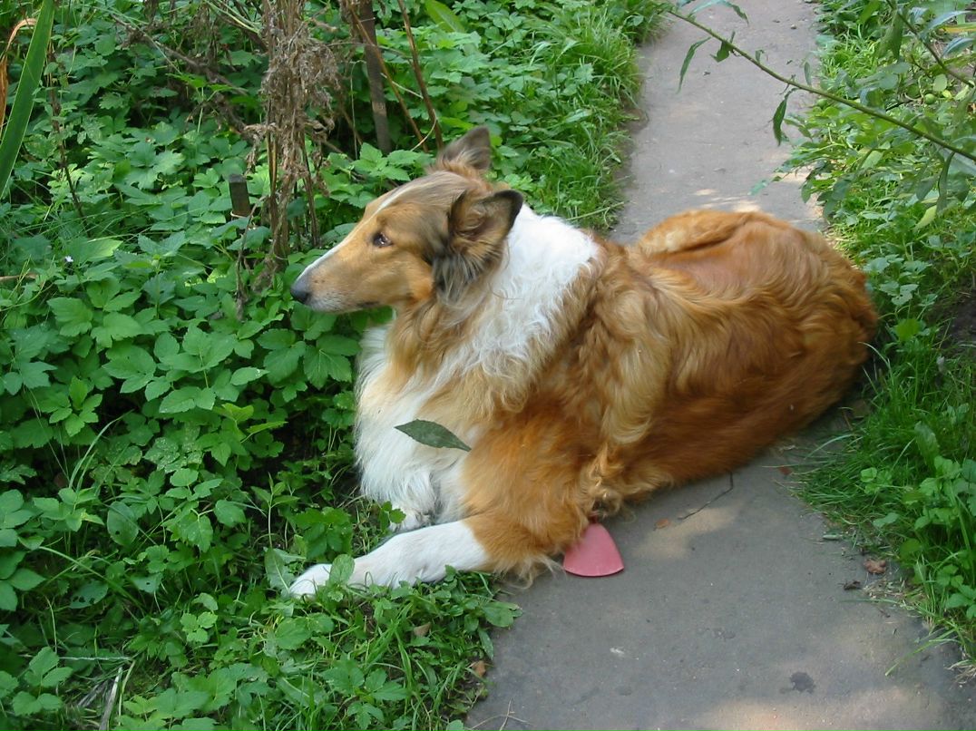 Алёна Чекалкина | Москва