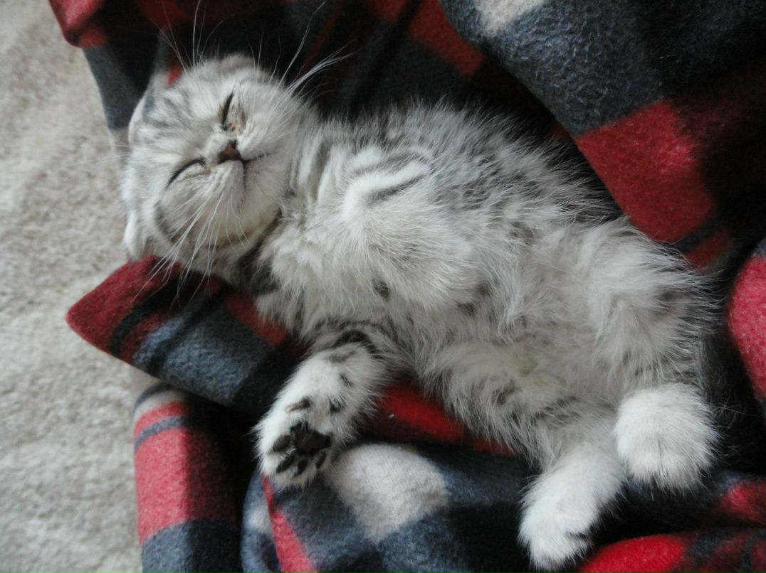 Юлия Лукьянова | Самара