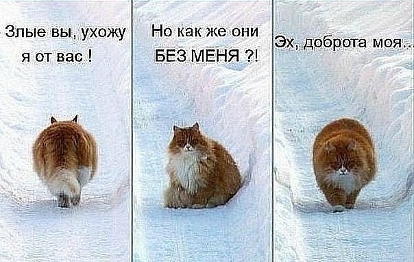№197, Екатерина Сильянова, 34 года, Подольск №197, Екатерина Сильянова, 34 года, Подольск