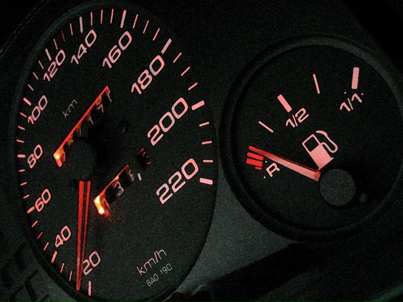 Димон Медведь | Санкт-Петербург