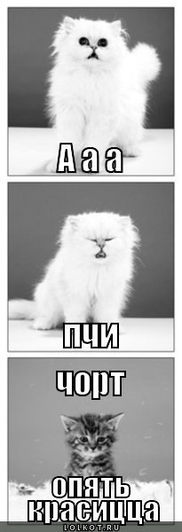 №84, Юлия Белова, 40 лет, Казань №84, Юлия Белова, 40 лет, Казань