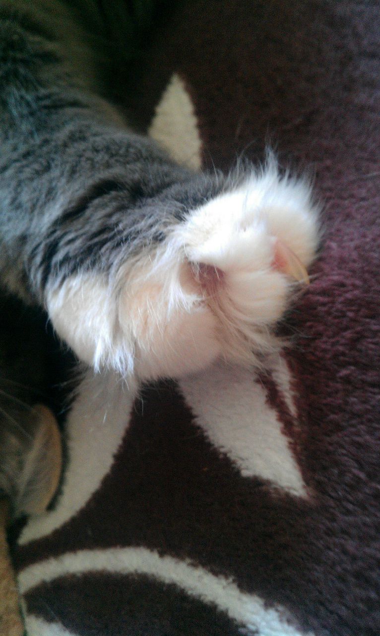 Евгений Канакаев जप | Ногинск