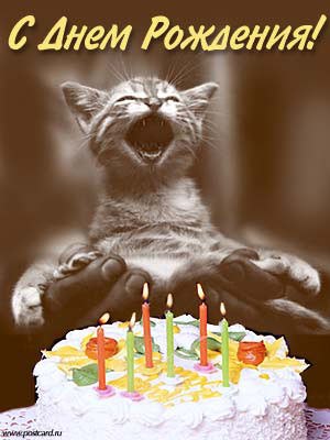 Ильсеяр Мадьярова | 