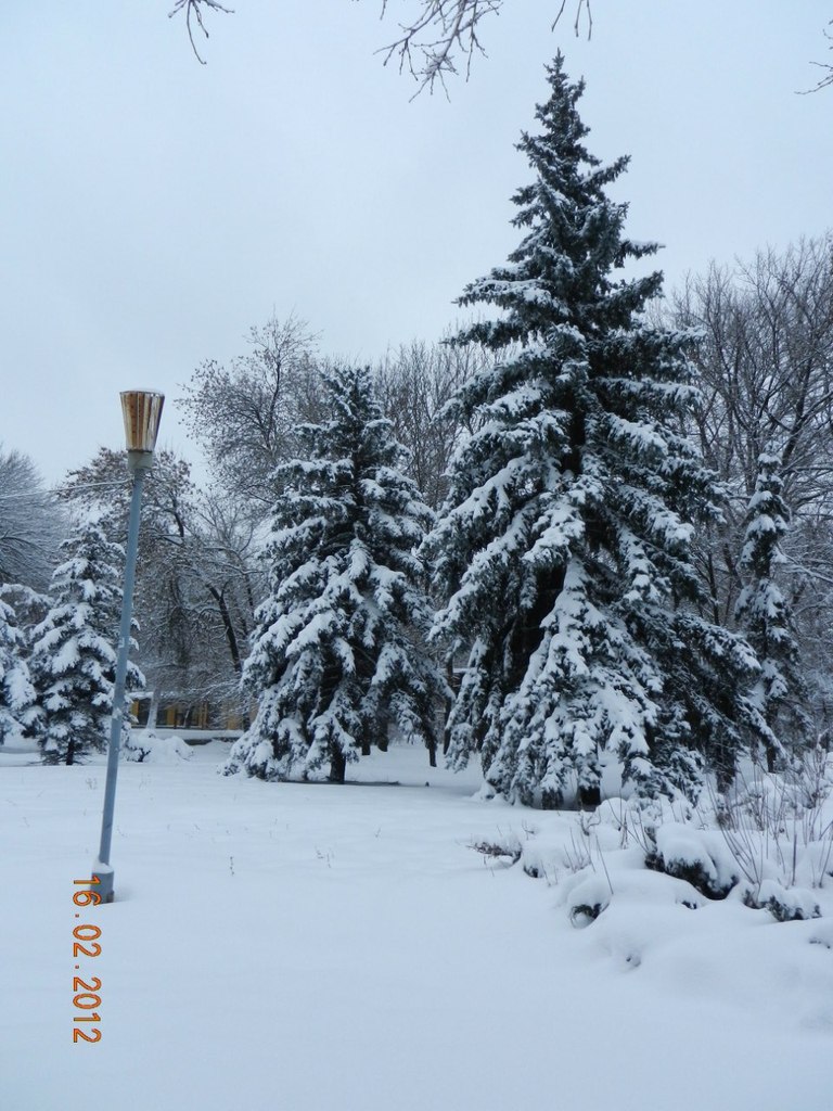 Юрий Малина | Луганск