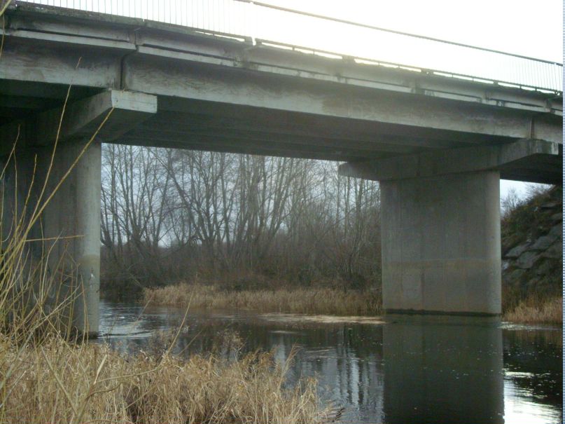 Роман Чистяков | 