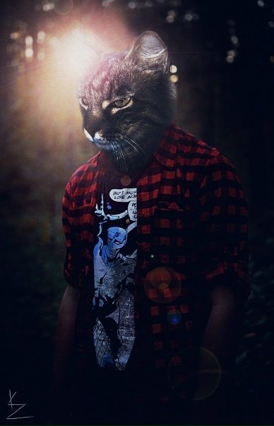 №12, Роман Козяев, Таганрог №12, Роман Козяев, Таганрог