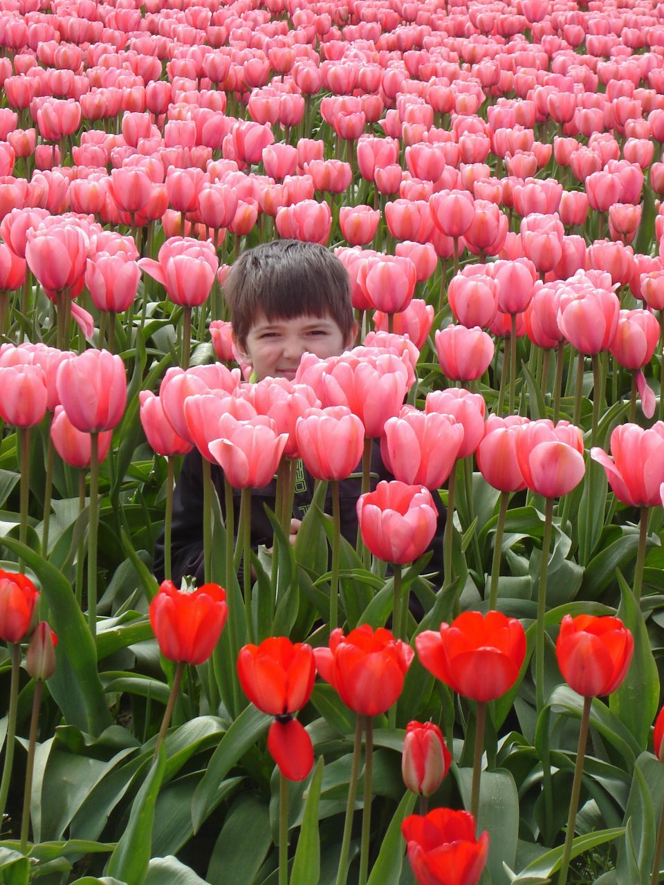 Таня Главацкая | Tacoma