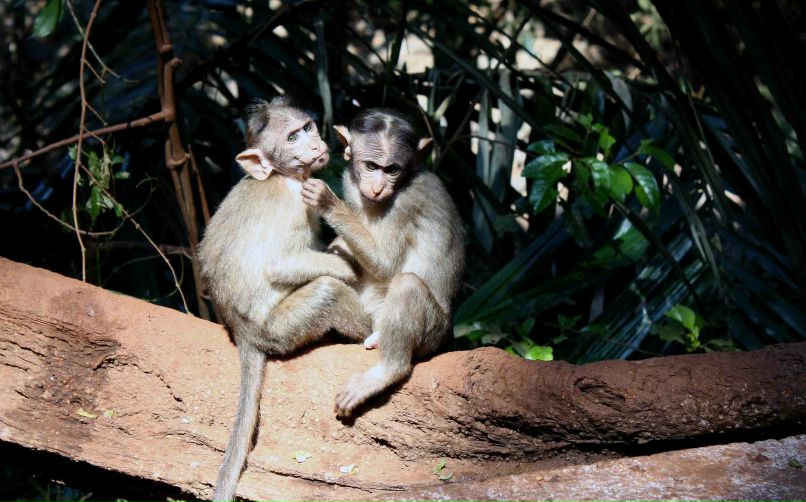 Марина Соколова | Санкт-Петербург