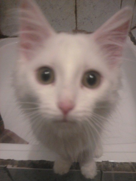 Фируз Бадалов | Казань