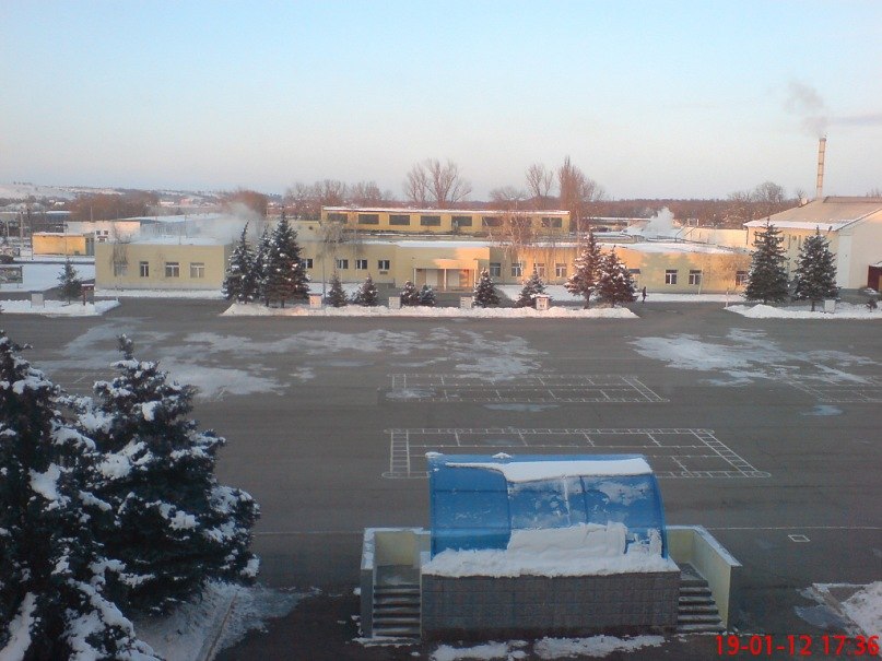 Артур Адамян | Ростов-на-Дону