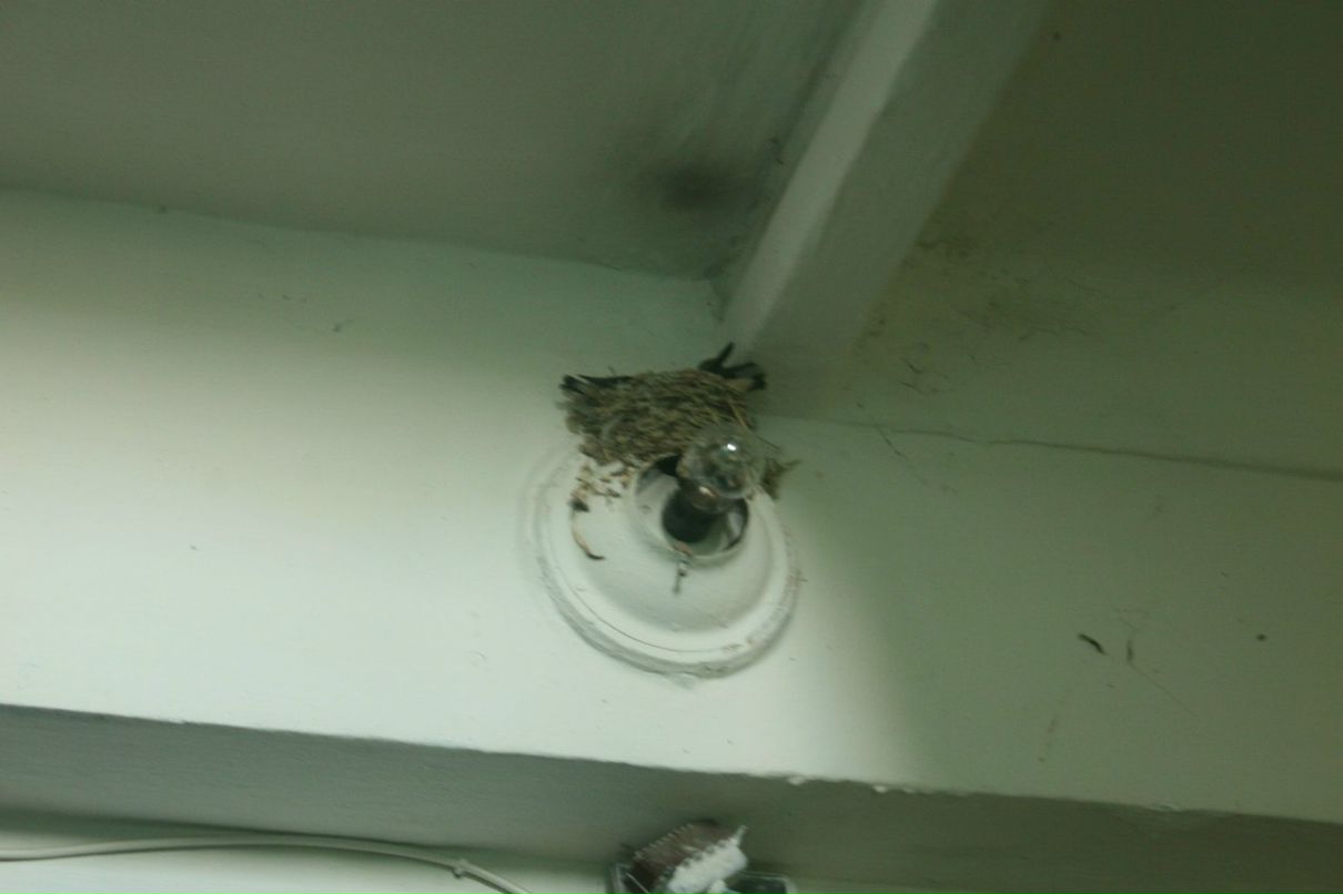 Герман Гагарин | Одесса