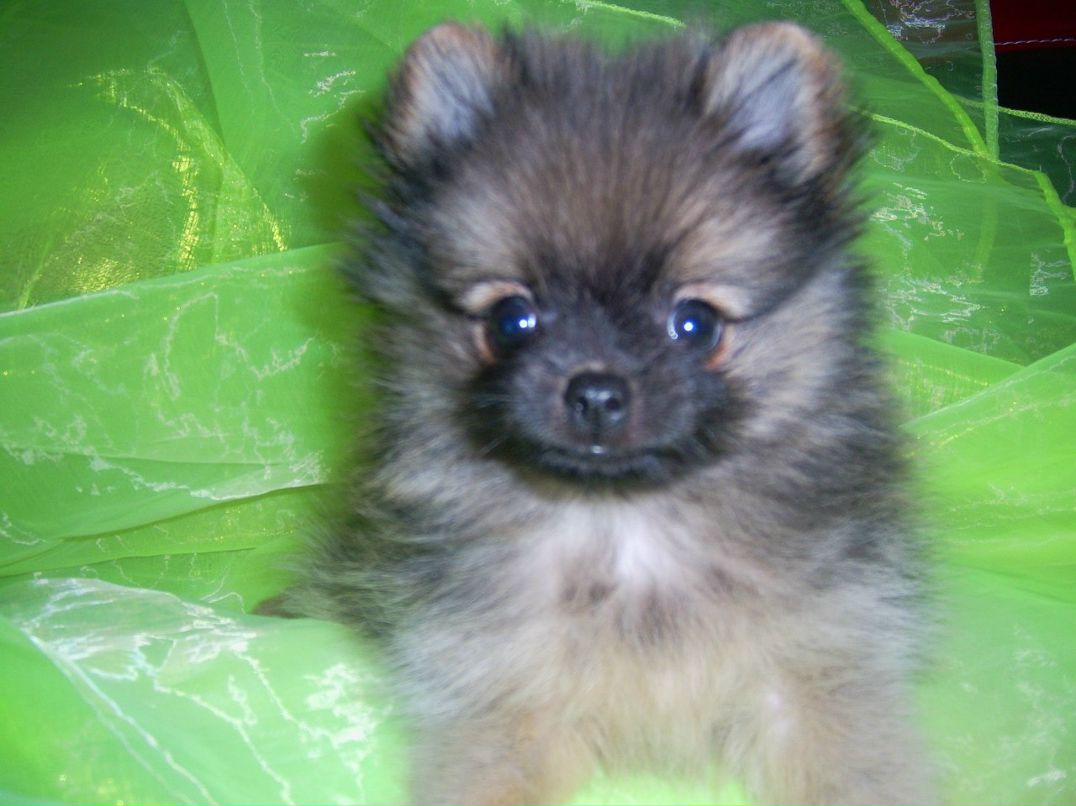 Алиса Парамохина | Москва