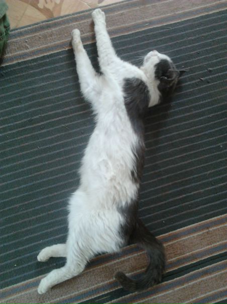 №65, Олег Литвиненко, 105 лет, Родники №65, Олег Литвиненко, 105 лет, Родники