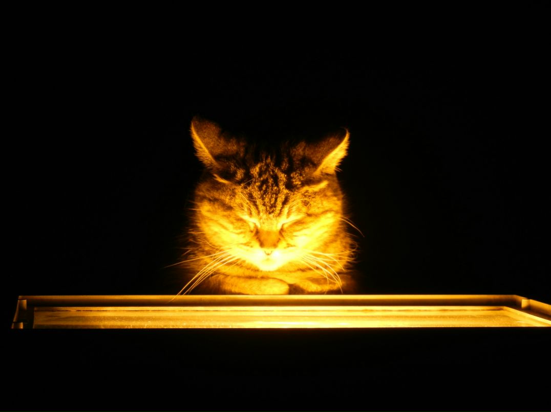 Ольга Чапай | 