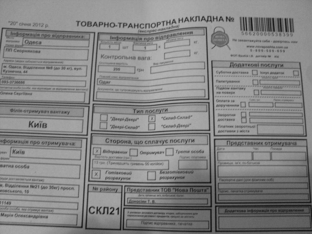 Роза Розова | 