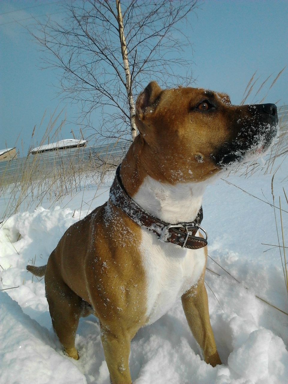 Бузаева Анна | 