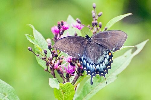 Наталья Жарихина | 
