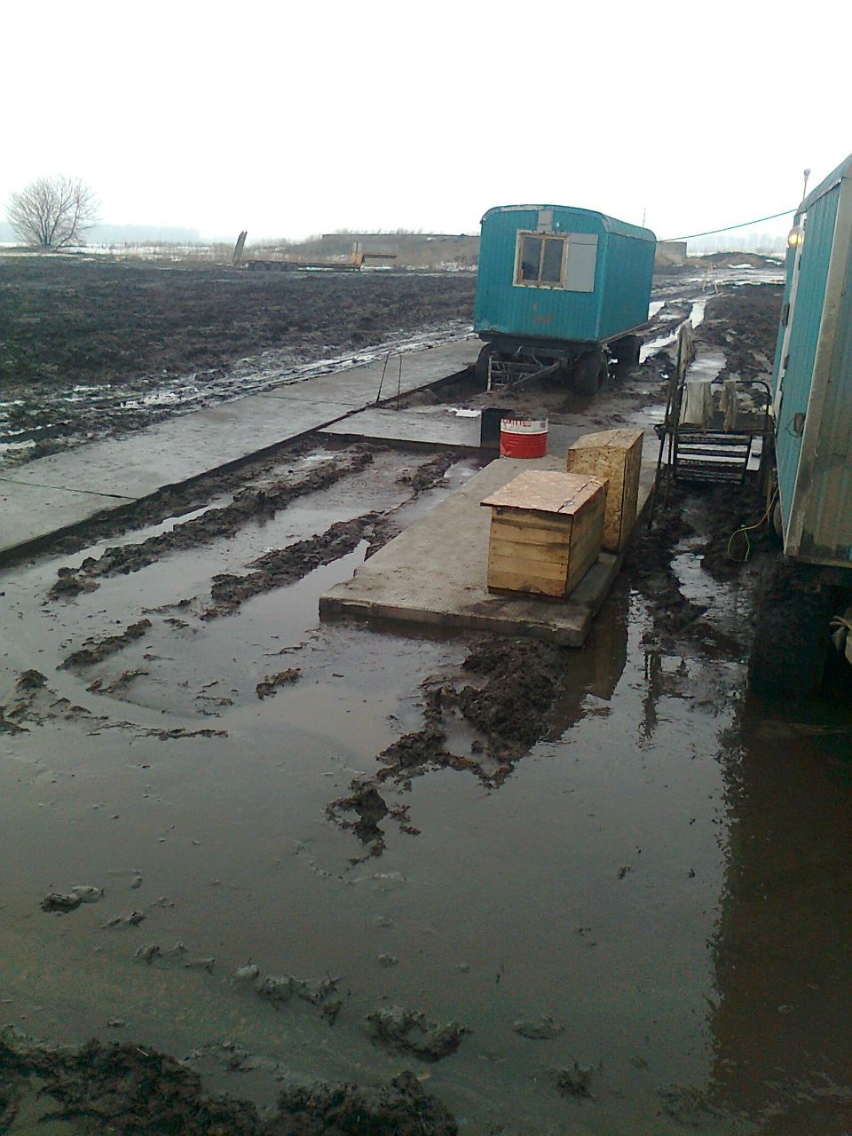 Эльвир Шарипов | 