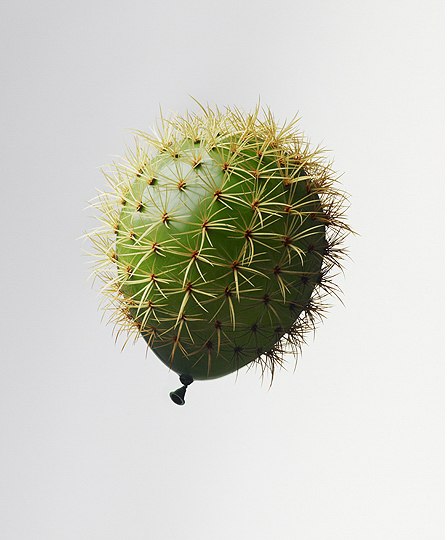 Вадим Бондарев | Харьков