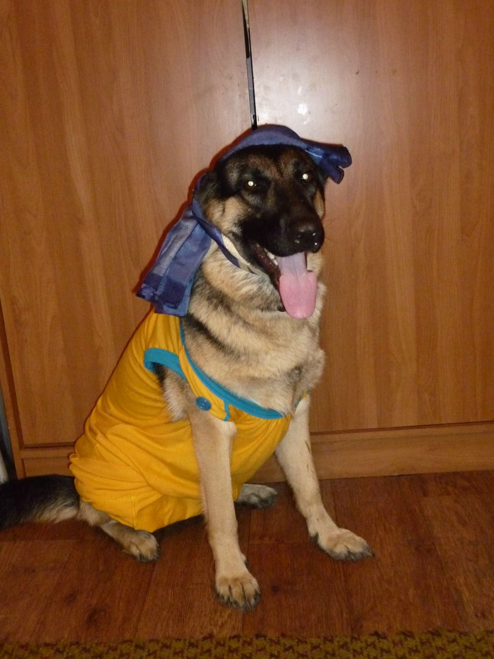 Яна Никольская | Дзержинск