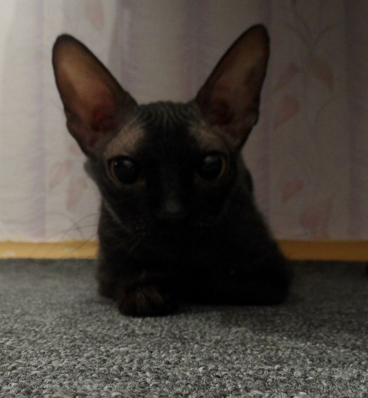 Маргоша Марго | Самара