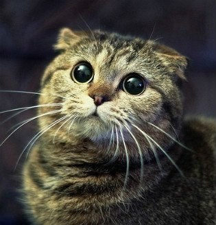 Наталья Медведева | Санкт-Петербург