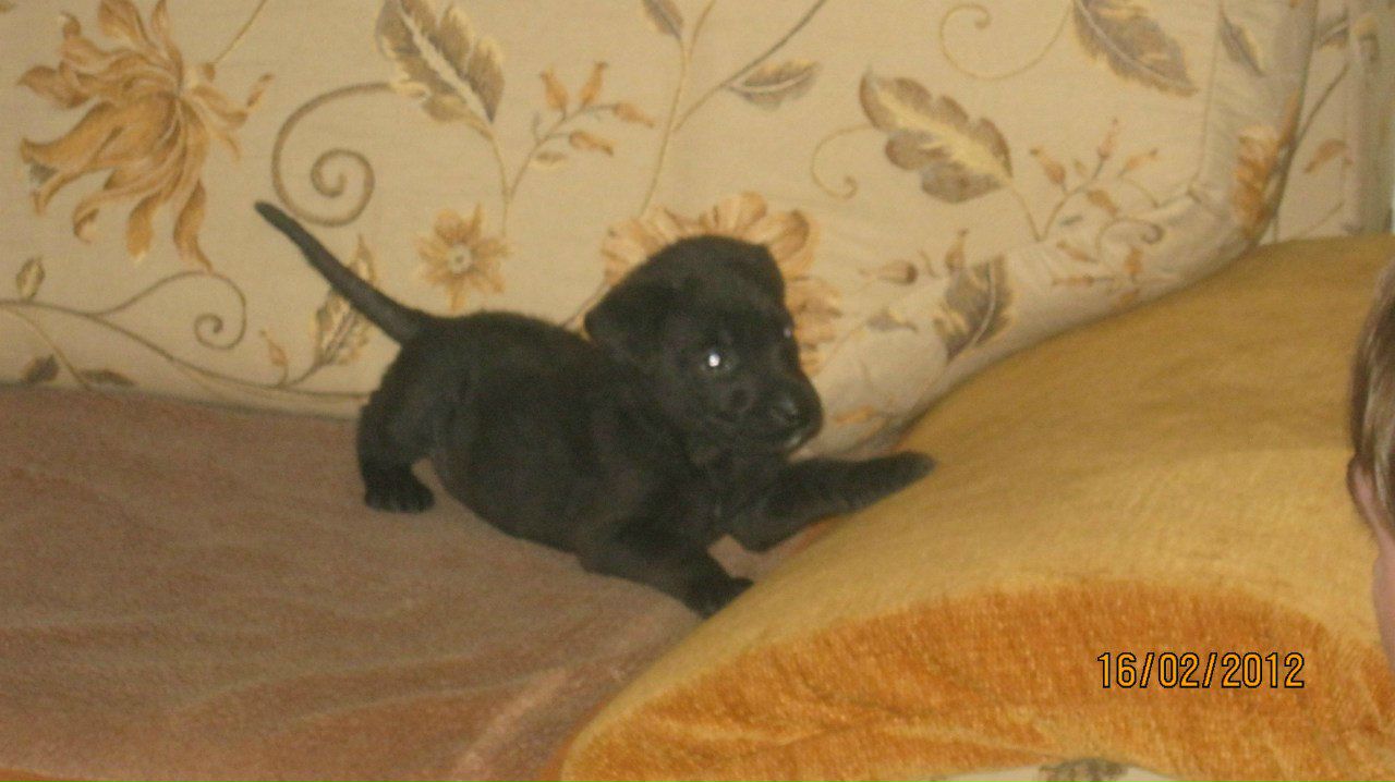 Vitaliya Romanova | Минск