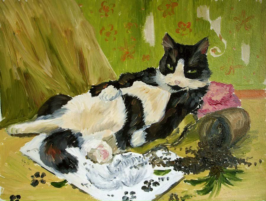 Александра Палева | Донецк