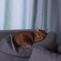 Ксения Аброськина | 