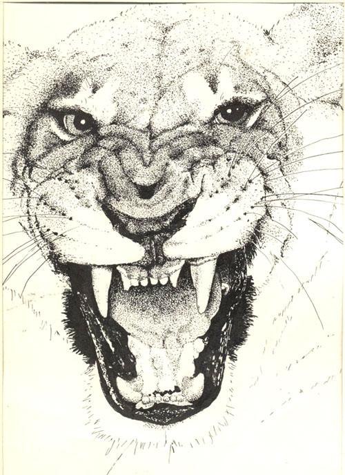 Татьяна Кузнецова | Воронеж