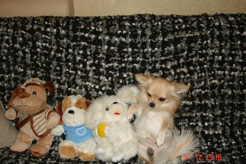 Марина Ильичёва | Санкт-Петербург