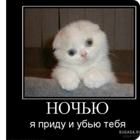 Юра Селезнев | Санкт-Петербург